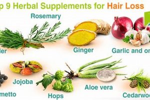 Best Herbal Supplements for Hair Loss? A Complete Guide The Ultimate Herbal Remedies Guide: Natural Healing for a Healthier Life Best Herbal Supplements for Hair Loss? A Complete Guide | The Ultimate Herbal Remedies Guide: Natural Healing for a Healthier Life