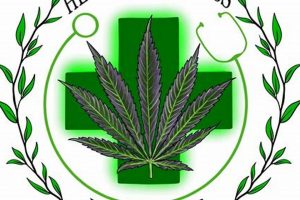 Discover Herbal Wellness in Panama City Today! The Ultimate Herbal Remedies Guide: Natural Healing for a Healthier Life Discover Herbal Wellness in Panama City Today! | The Ultimate Herbal Remedies Guide: Natural Healing for a Healthier Life