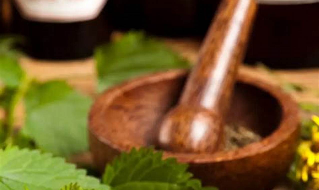 Natural Herbal Supplements for Depression &amp; Anxiety Relief | The Ultimate Herbal Remedies Guide: Natural Healing for a Healthier Life