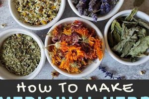 Easy Herbal Remedies Recipes: Your Natural Healing Guide The Ultimate Herbal Remedies Guide: Natural Healing for a Healthier Life Easy Herbal Remedies Recipes: Your Natural Healing Guide | The Ultimate Herbal Remedies Guide: Natural Healing for a Healthier Life