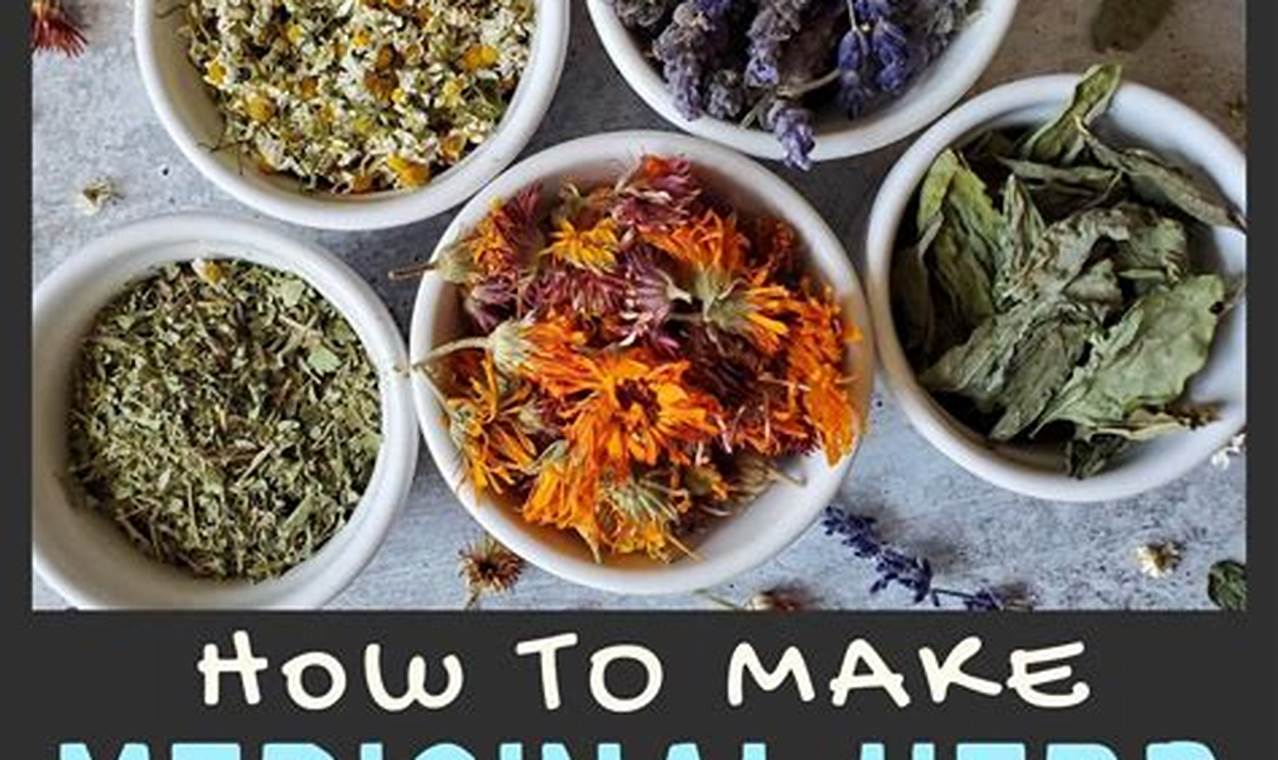 Easy Herbal Remedies Recipes: Your Natural Healing Guide The Ultimate Herbal Remedies Guide: Natural Healing for a Healthier Life Easy Herbal Remedies Recipes: Your Natural Healing Guide | The Ultimate Herbal Remedies Guide: Natural Healing for a Healthier Life