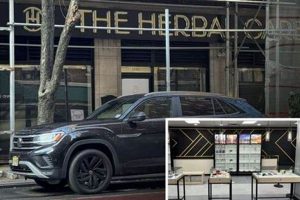 NYC Herbal Care: Find Best Herbalists & Remedies The Ultimate Herbal Remedies Guide: Natural Healing for a Healthier Life NYC Herbal Care: Find Best Herbalists & Remedies | The Ultimate Herbal Remedies Guide: Natural Healing for a Healthier Life