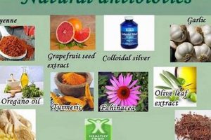 Natural Power: Herbal Antimicrobials for Immunity Boost The Ultimate Herbal Remedies Guide: Natural Healing for a Healthier Life Natural Power: Herbal Antimicrobials for Immunity Boost | The Ultimate Herbal Remedies Guide: Natural Healing for a Healthier Life