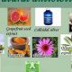 Natural Power: Herbal Antimicrobials for Immunity Boost | The Ultimate Herbal Remedies Guide: Natural Healing for a Healthier Life