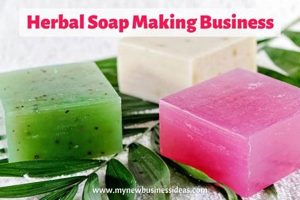 Best Herbal Soap Bars: Natural & Gentle Cleansing The Ultimate Herbal Remedies Guide: Natural Healing for a Healthier Life Best Herbal Soap Bars: Natural & Gentle Cleansing | The Ultimate Herbal Remedies Guide: Natural Healing for a Healthier Life