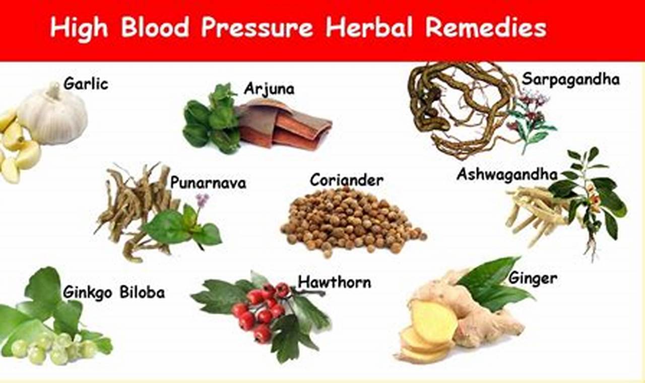 Natural Herbal Treatment for Hypertension Relief Today! The Ultimate Herbal Remedies Guide: Natural Healing for a Healthier Life Natural Herbal Treatment for Hypertension Relief Today! | The Ultimate Herbal Remedies Guide: Natural Healing for a Healthier Life