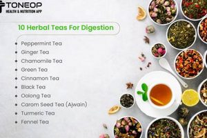 Best Herbal Teas for Digestion: Gut Health Tea Tips The Ultimate Herbal Remedies Guide: Natural Healing for a Healthier Life Best Herbal Teas for Digestion: Gut Health Tea Tips | The Ultimate Herbal Remedies Guide: Natural Healing for a Healthier Life