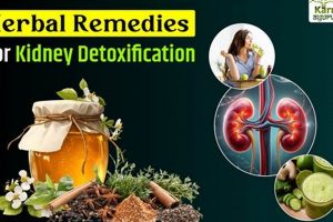 Best Herbal Remedies for Kidneys: Natural Support | The Ultimate Herbal Remedies Guide: Natural Healing for a Healthier Life
