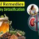 Best Herbal Remedies for Kidneys: Natural Support | The Ultimate Herbal Remedies Guide: Natural Healing for a Healthier Life