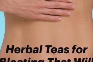 Best Herbal Teas for Bloating: Sip Away the Discomfort! The Ultimate Herbal Remedies Guide: Natural Healing for a Healthier Life Best Herbal Teas for Bloating: Sip Away the Discomfort! | The Ultimate Herbal Remedies Guide: Natural Healing for a Healthier Life