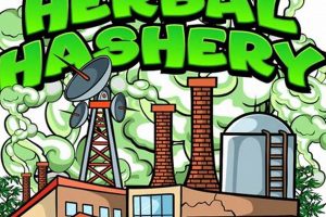 Guide to The Herbal Hashery: Blends & More Near You The Ultimate Herbal Remedies Guide: Natural Healing for a Healthier Life Guide to The Herbal Hashery: Blends & More Near You | The Ultimate Herbal Remedies Guide: Natural Healing for a Healthier Life