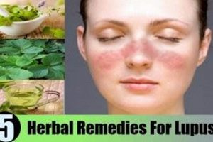 Natural Herbal Remedies for Lupus: Relief & Support The Ultimate Herbal Remedies Guide: Natural Healing for a Healthier Life Natural Herbal Remedies for Lupus: Relief & Support | The Ultimate Herbal Remedies Guide: Natural Healing for a Healthier Life