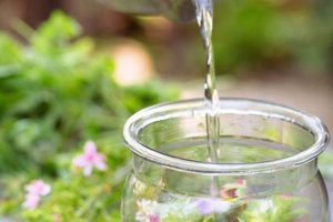 Brew Your Bliss: Garden Herbal Tea Benefits & Recipes The Ultimate Herbal Remedies Guide: Natural Healing for a Healthier Life Brew Your Bliss: Garden Herbal Tea Benefits & Recipes | The Ultimate Herbal Remedies Guide: Natural Healing for a Healthier Life