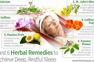 Top Best Herbal Remedies for Sleep Tonight | The Ultimate Herbal Remedies Guide: Natural Healing for a Healthier Life