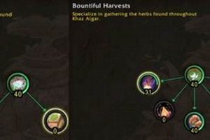 Top Herbals: Best Herbalism Specialization for War Within Today | The Ultimate Herbal Remedies Guide: Natural Healing for a Healthier Life