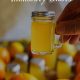 Boost Herbal Immunity Naturally: Your Plant-Based Shield | The Ultimate Herbal Remedies Guide: Natural Healing for a Healthier Life