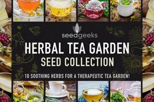 Buy Herbal Tea Garden Seeds Online: Grow Your Own Tea The Ultimate Herbal Remedies Guide: Natural Healing for a Healthier Life Buy Herbal Tea Garden Seeds Online: Grow Your Own Tea | The Ultimate Herbal Remedies Guide: Natural Healing for a Healthier Life