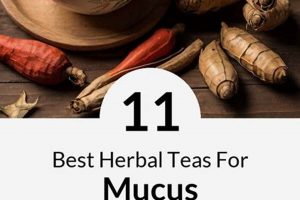 Best Herbal Teas for Mucus Relief: Breathe Easy The Ultimate Herbal Remedies Guide: Natural Healing for a Healthier Life Best Herbal Teas for Mucus Relief: Breathe Easy | The Ultimate Herbal Remedies Guide: Natural Healing for a Healthier Life