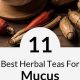 Best Herbal Teas for Mucus Relief: Breathe Easy | The Ultimate Herbal Remedies Guide: Natural Healing for a Healthier Life