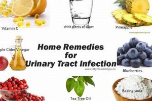 Natural Herbal Treatment for Urine Infection: Relief Tips | The Ultimate Herbal Remedies Guide: Natural Healing for a Healthier Life