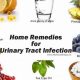 Natural Herbal Treatment for Urine Infection: Relief Tips | The Ultimate Herbal Remedies Guide: Natural Healing for a Healthier Life