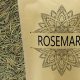 Discover Rosemary Herbal Tea Benefits + Brew Guide | The Ultimate Herbal Remedies Guide: Natural Healing for a Healthier Life