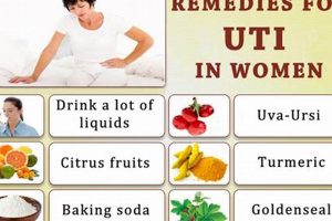 Natural Herbal Remedy UTI Relief: Effective Choices | The Ultimate Herbal Remedies Guide: Natural Healing for a Healthier Life