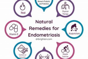 Natural Herbal Cure for Endometriosis: Does It Work? | The Ultimate Herbal Remedies Guide: Natural Healing for a Healthier Life
