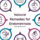 Natural Herbal Cure for Endometriosis: Does It Work? | The Ultimate Herbal Remedies Guide: Natural Healing for a Healthier Life