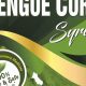 Natural Dengue Cure Herbal: Relief & Remedies | The Ultimate Herbal Remedies Guide: Natural Healing for a Healthier Life