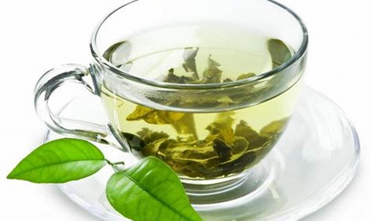 Herbal Tea: Is it Against the Word of Wisdom? Guide The Ultimate Herbal Remedies Guide: Natural Healing for a Healthier Life Herbal Tea: Is it Against the Word of Wisdom? Guide | The Ultimate Herbal Remedies Guide: Natural Healing for a Healthier Life