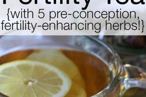 Boost Fertility: Herbal Tea for Conception & Recipes | The Ultimate Herbal Remedies Guide: Natural Healing for a Healthier Life