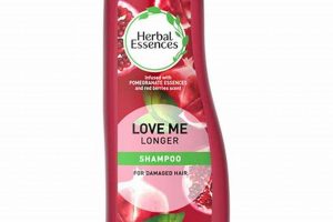 Boost Love with Nature: Love Herbal Remedies & More | The Ultimate Herbal Remedies Guide: Natural Healing for a Healthier Life