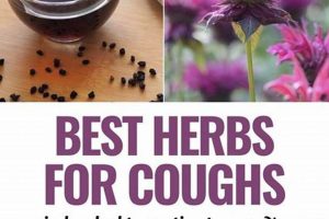 Natural Herbal Remedies for Cough: Soothe Your Symptoms Fast | The Ultimate Herbal Remedies Guide: Natural Healing for a Healthier Life