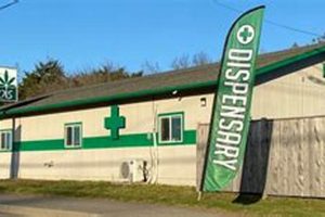 Bandon's Herbal Choices Dispensary: Your Green Paradise | The Ultimate Herbal Remedies Guide: Natural Healing for a Healthier Life