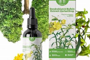 Boost with: Dendrobium & Mullein Herbal Drops - Support | The Ultimate Herbal Remedies Guide: Natural Healing for a Healthier Life