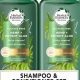Herbal Essence Shampoo Reviews: Find Your Perfect Match! | The Ultimate Herbal Remedies Guide: Natural Healing for a Healthier Life