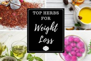 Herbals: Will Herbal Tea Help You Lose Weight Fast? The Ultimate Herbal Remedies Guide: Natural Healing for a Healthier Life Herbals: Will Herbal Tea Help You Lose Weight Fast? | The Ultimate Herbal Remedies Guide: Natural Healing for a Healthier Life