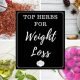Herbals: Will Herbal Tea Help You Lose Weight Fast? | The Ultimate Herbal Remedies Guide: Natural Healing for a Healthier Life