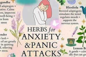 Calm Your Panic: Herbal Remedies That Work | The Ultimate Herbal Remedies Guide: Natural Healing for a Healthier Life