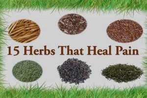 Natural Herbal Pain Relievers: Relief & Benefits | The Ultimate Herbal Remedies Guide: Natural Healing for a Healthier Life