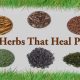 Natural Herbal Pain Relievers: Relief & Benefits | The Ultimate Herbal Remedies Guide: Natural Healing for a Healthier Life