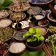 Exploring Herbal Remedies History: Ancient Roots & Modern Use | The Ultimate Herbal Remedies Guide: Natural Healing for a Healthier Life