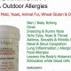 Natural Herbal Treatment for Allergy Relief Tips | The Ultimate Herbal Remedies Guide: Natural Healing for a Healthier Life