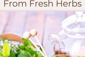 Best Herbal Tea Blog: Recipes & Benefits + More! | The Ultimate Herbal Remedies Guide: Natural Healing for a Healthier Life