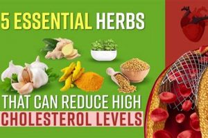 Best Herbal Supplements for High Cholesterol - Naturally! | The Ultimate Herbal Remedies Guide: Natural Healing for a Healthier Life