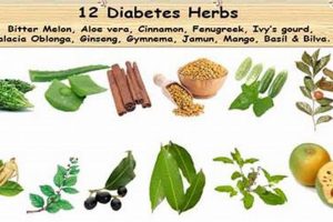 Natural Diabetes Herbal Remedies: Control Blood Sugar The Ultimate Herbal Remedies Guide: Natural Healing for a Healthier Life Natural Diabetes Herbal Remedies: Control Blood Sugar | The Ultimate Herbal Remedies Guide: Natural Healing for a Healthier Life
