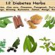 Natural Diabetes Herbal Remedies: Control Blood Sugar | The Ultimate Herbal Remedies Guide: Natural Healing for a Healthier Life