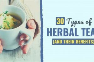 What's Herbal Tea? Definition, Benefits & More The Ultimate Herbal Remedies Guide: Natural Healing for a Healthier Life What's Herbal Tea? Definition, Benefits & More | The Ultimate Herbal Remedies Guide: Natural Healing for a Healthier Life
