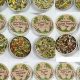 Explore Herbal Tea Sampler Bliss: Your Perfect Blend | The Ultimate Herbal Remedies Guide: Natural Healing for a Healthier Life